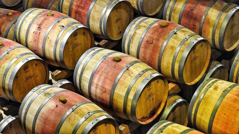 wine, barrels, wine barrels-2818646.jpg